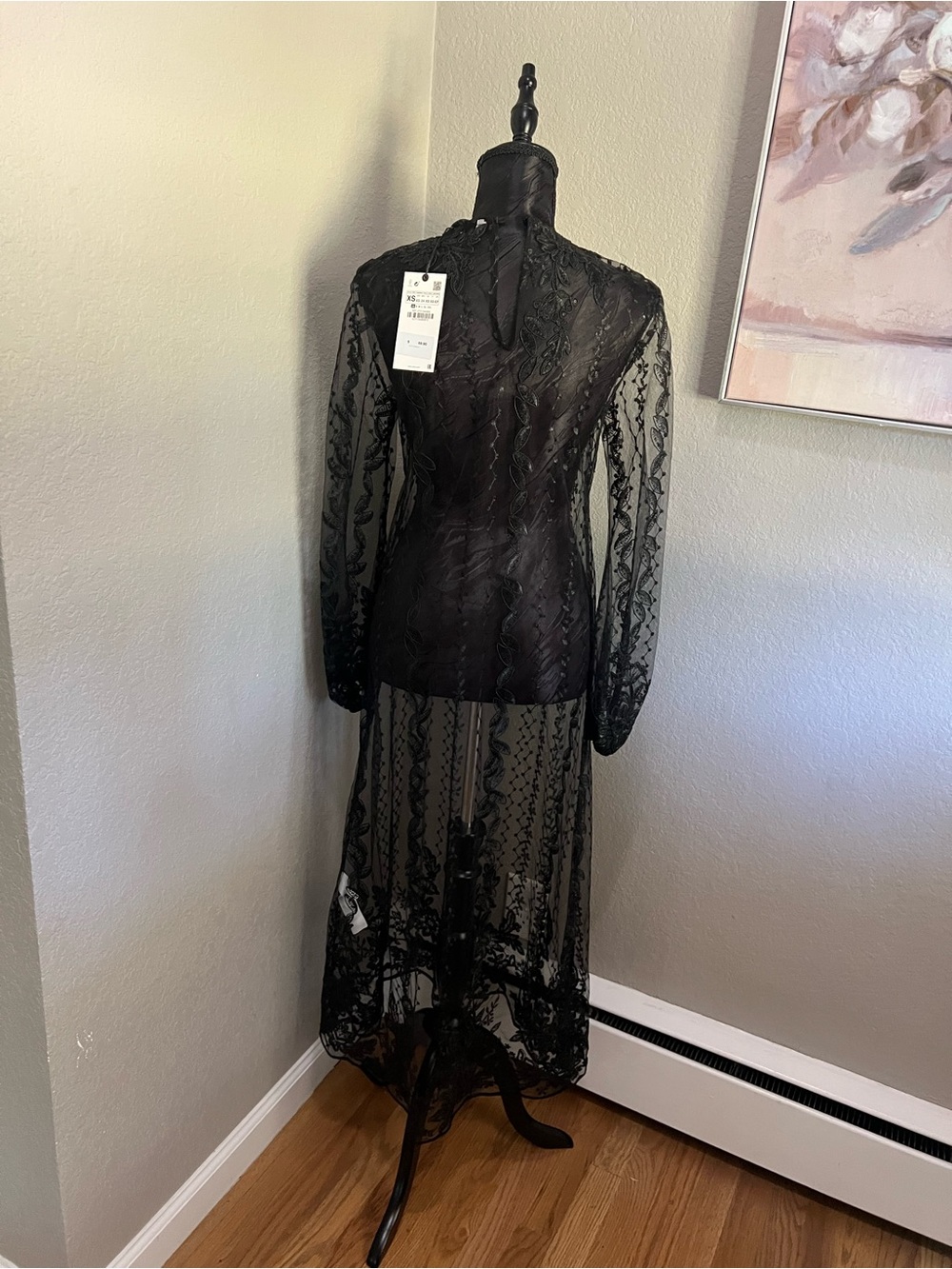Zara Embroidered Semi-Sheer Tulle Dress Gothic Black Sz Xs NWT - Picture 8 of 14